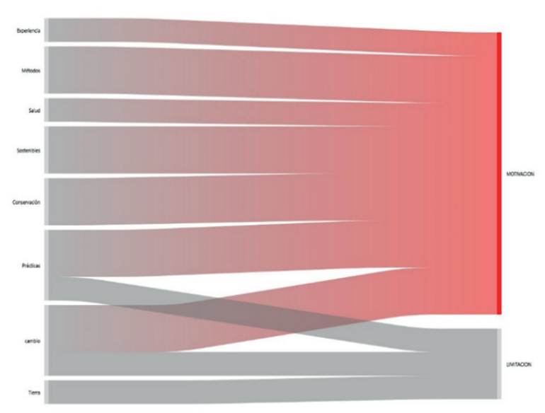 Gráfico
El contenido generado por IA puede ser incorrecto.